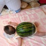 <b>수박</b> 거북이?