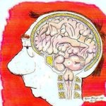 남자의 <b>두뇌</b>