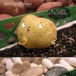 당신의 외모 <b>컴플렉스</b>는?