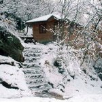 저 혼자만 <b>올리</b>내예5