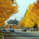 러시아인들의 북한관광 붐은 '소련 향수' 때문?