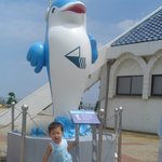<b>돌고래</b> 상앞에서