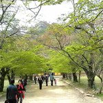오늘은 더 안올립<b>니더</b>예4