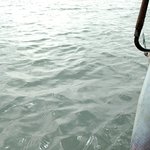 홍어 <b>배속</b>에서 소주병에 콘돔까지