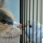 모든걸 초월한 <b>사강</b>