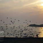 2월 <b>달력</b> 배경화면 2
