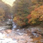 저 혼자만 <b>올리</b>내예6