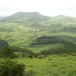 백약이 진입로 <b>what</b> this ?