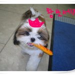왕<b>쏘세지</b> 좋아!