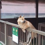 아 오늘 <b>장사</b> 안되네~ 아직 마수도 못했어