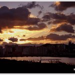 어김없이 올립<b>니더</b>예4