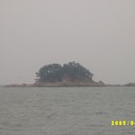 오늘 저 혼자만 <b>올리</b>내예19