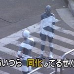 엽기<b>횡단</b>보도