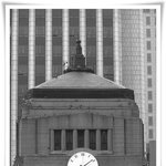 시청에서... <b>mono</b> tone....