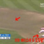 "야구 100년" <b>찬물</b> 끼얹는 판정...