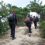 (아름다운 <b>산행</b>)