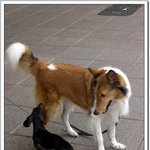 <b>탐색</b>...