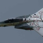 일본 항공<b>자위대</b>의 f-15j