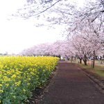 <b>아릿</b>다운 �떤�길..