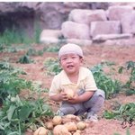 <b>감자</b>캐는 아이