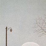 안전한 <b>보호막</b>