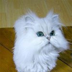 <b>고파</b>~~