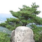 <b>도봉산</b>에 올라12