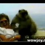 원숭이의 <b>습격</b>.-_-