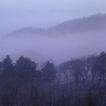 <b>안개</b>가 있는 풍경(6)