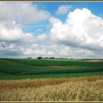 거치른 벌판으로 달려가자 (2)