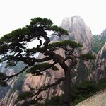 중국여행 <b>황산</b> 1