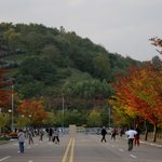 휴일 <b>도심</b>공원의 모습