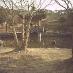 <b>안면</b>도 여행