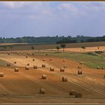 거치른 벌판으로 달려가자 (3)