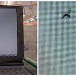 노트북 lcd 모니터 속에 모기가 들어갈 수 있을까?