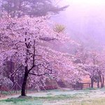 경관이 괜찮아서 올립<b>니더</b>예10