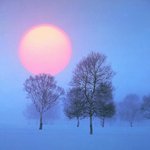 the <b>great</b> scenery