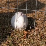 <b>경도</b>와 토갱이(마이무라 *.*: )