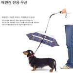 애완견 <b>전용</b>우산......ㅡㅡㆀ