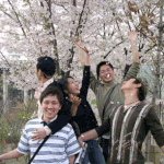 벚꽃 앞에서 광란의 <b>테크노</b>!