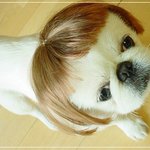 유행하는 헤어<b>스탈</b>~