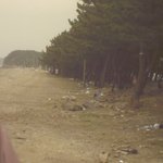 <b>안면</b>도 여행