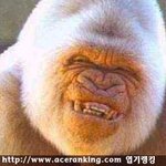 <b>살인미소</b>~