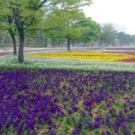 오랜만에 <b>올리</b>내예2