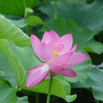 <b>곡성</b> 고달지