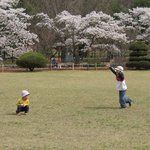 꽃피어 <b>화사</b>한 날.. 봄날