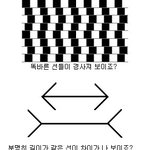 착시현상! <b>희한</b>하네!