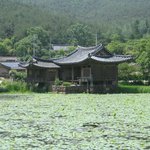 서출지
