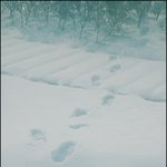 잘 나온 사진 좀 올립<b>니더</b>예14