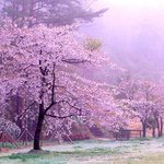 <b>환희</b>의 환상...?